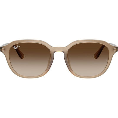 ray ban RB4459D 616613 54 rounded gradient turtle dove brown beige gradient sunglass culture front