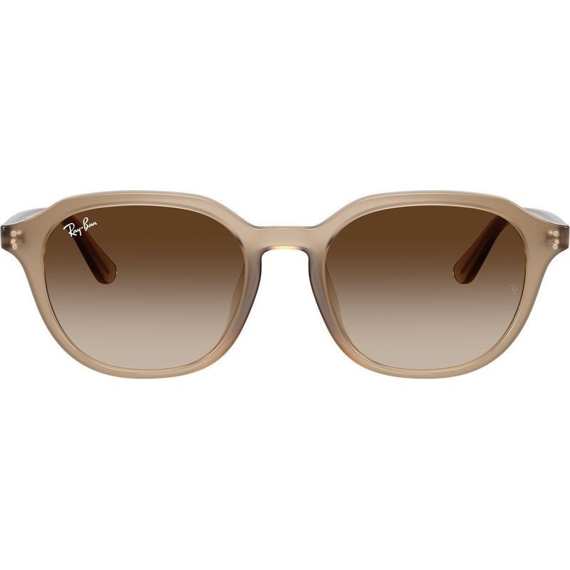 ray ban RB4459D 616613 54 rounded gradient turtle dove brown beige gradient sunglass culture front
