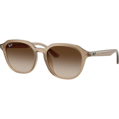 ray ban RB4459D 616613 54 rounded gradient turtle dove brown beige gradient sunglass culture side