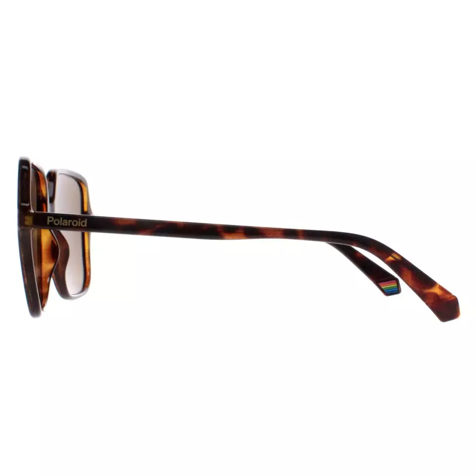 Polaroid PLD 6219/S 086 SP Havana/Bronze Polarised